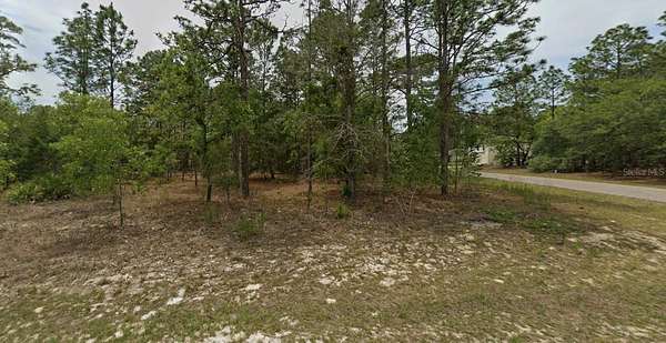 0.29 Acres of Residential Land for Sale in Citrus Springs, Florida