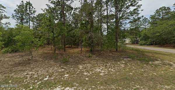 0.25 Acres of Residential Land for Sale in Dunnellon, Florida