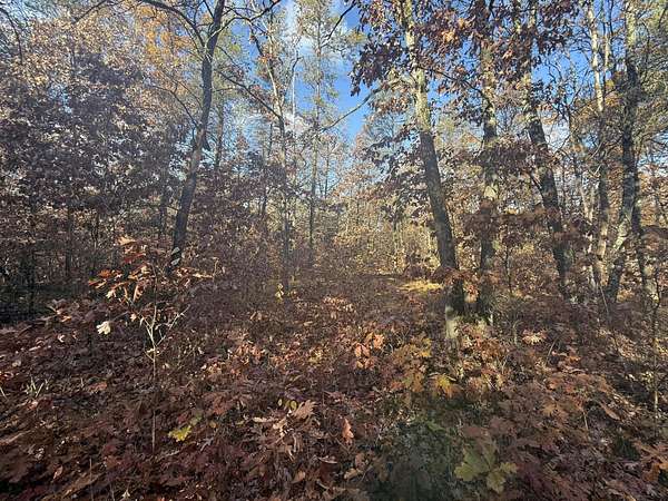 0.55 Acres of Residential Land for Sale in Baldwin, Michigan