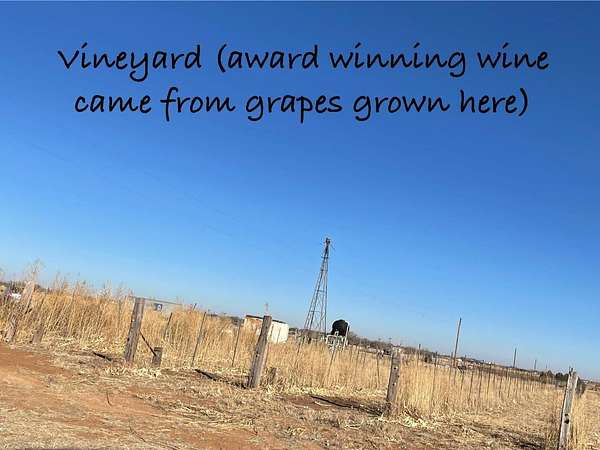 21 Acres of Land for Sale in New Deal, Texas