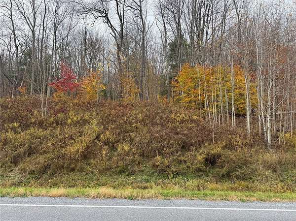 30.9 Acres of Land for Sale in Meredith, New York