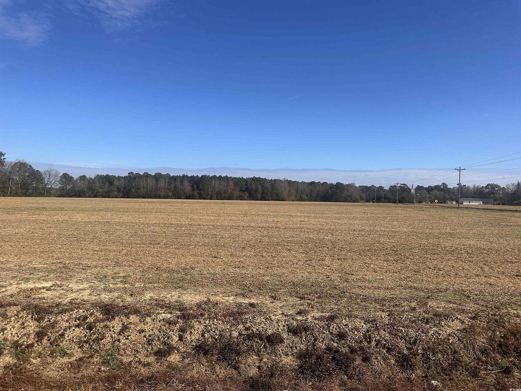 3.3 Acres of Residential Land for Sale in Nichols, South Carolina