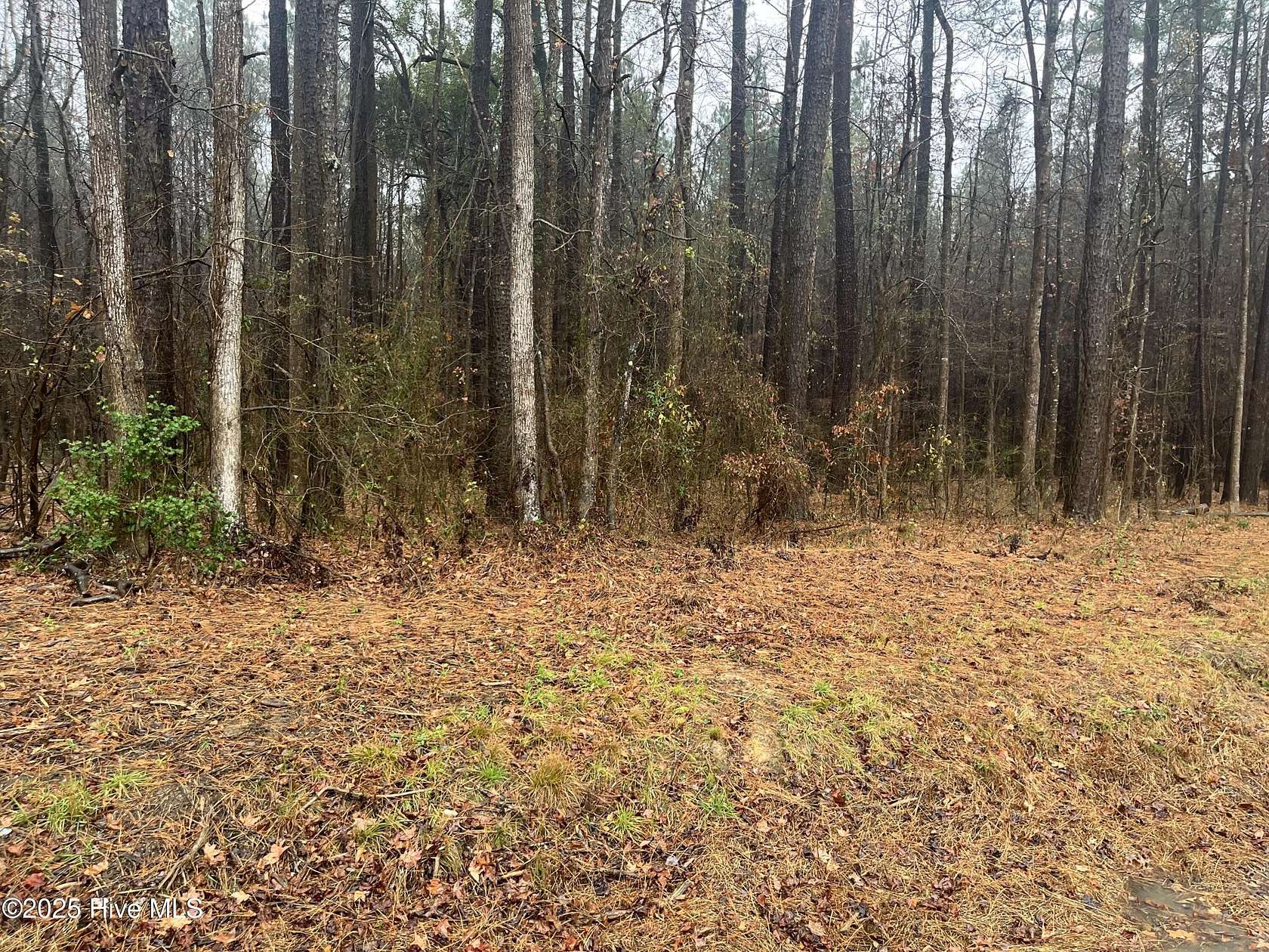 1.12 Acres of Land for Sale in Spring Hope, North Carolina