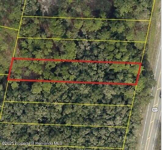 0.36 Acres of Commercial Land for Sale in Webster, Florida