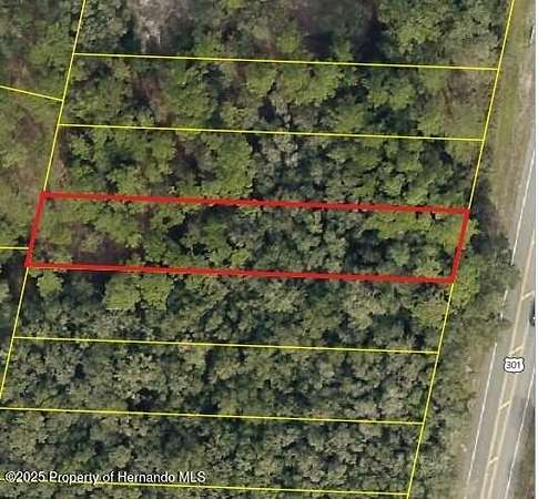 0.36 Acres of Commercial Land for Sale in Webster, Florida