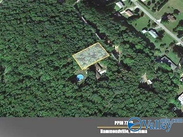 0.34 Acres of Land for Sale in Valley Head, Alabama