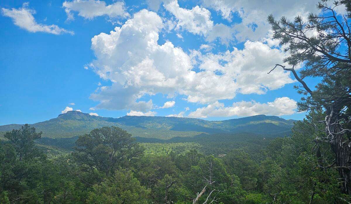 35 Acres of Land for Sale in Trinidad, Colorado