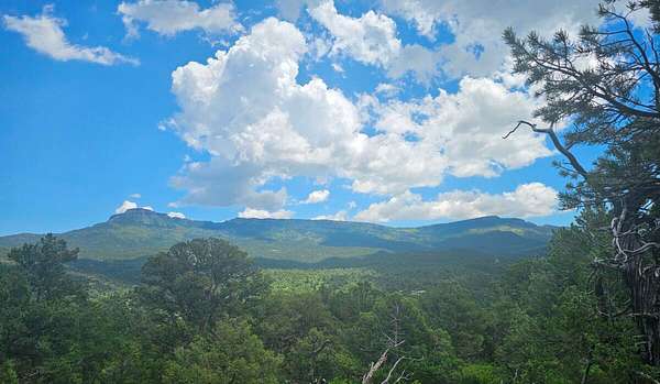 35 Acres of Land for Sale in Trinidad, Colorado