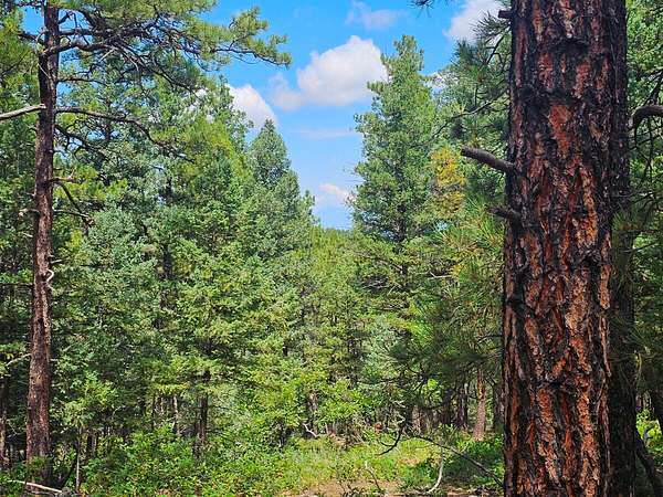 35 Acres of Land for Sale in Trinidad, Colorado