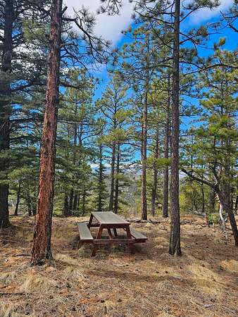 36 Acres of Land for Sale in Weston, Colorado