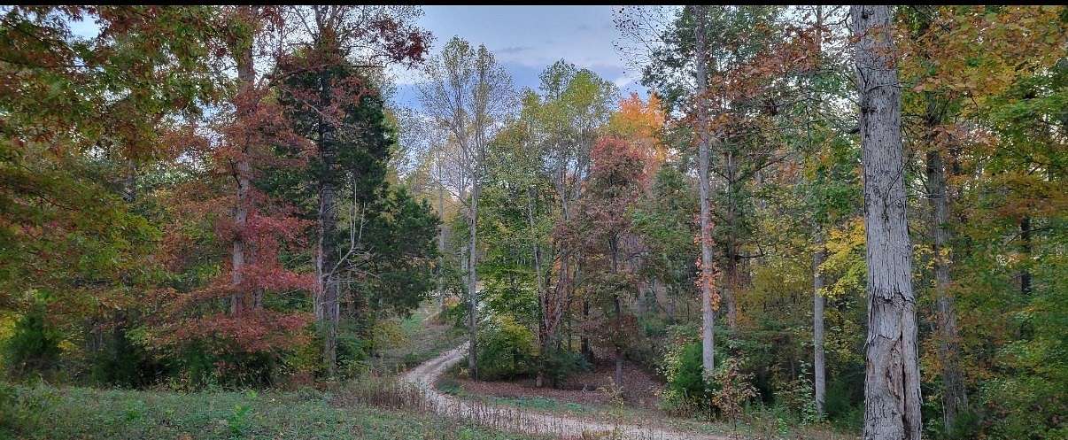 10.3 Acres of Land for Sale in Hilham, Tennessee