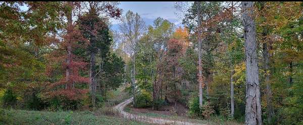 10.3 Acres of Land for Sale in Hilham, Tennessee