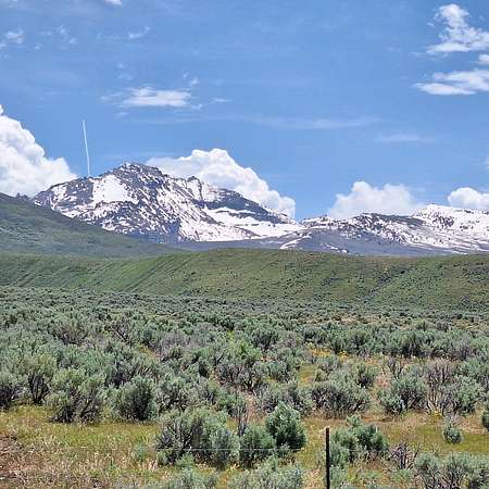 20 Acres of Recreational Land for Sale in Ryndon, Nevada