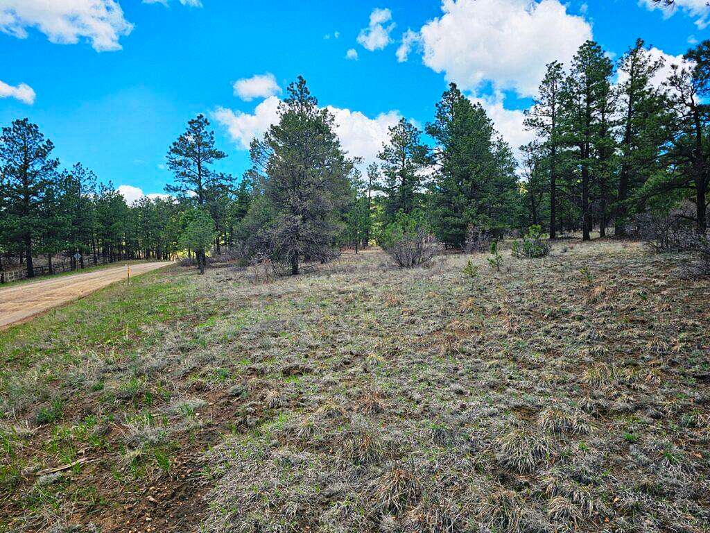 5 Acres of Land for Sale in Weston, Colorado