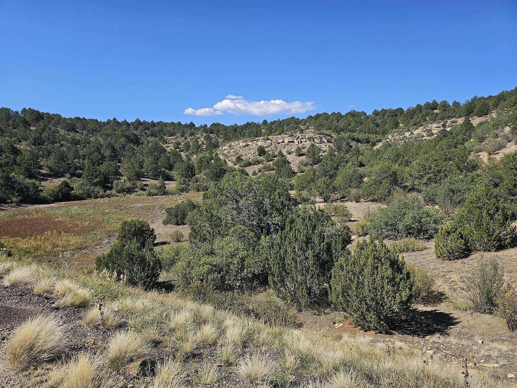 47 Acres of Land for Sale in Trinidad, Colorado