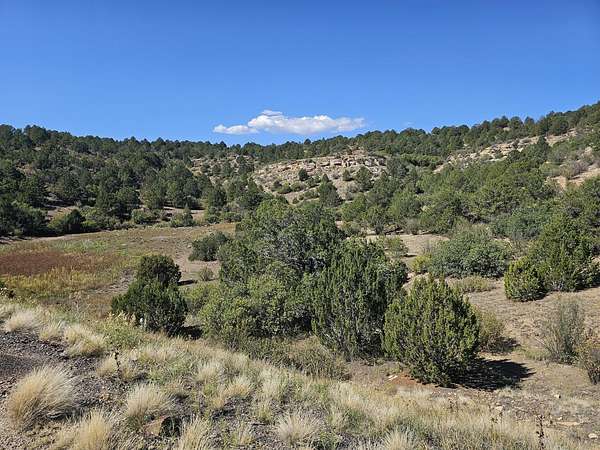47 Acres of Land for Sale in Trinidad, Colorado