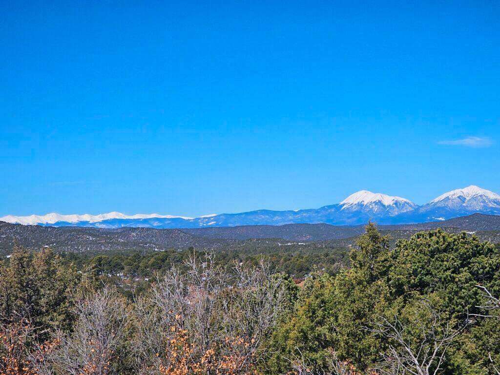 40 Acres of Land for Sale in Trinidad, Colorado