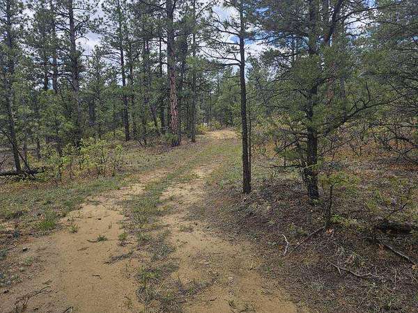 8 Acres of Land for Sale in Weston, Colorado