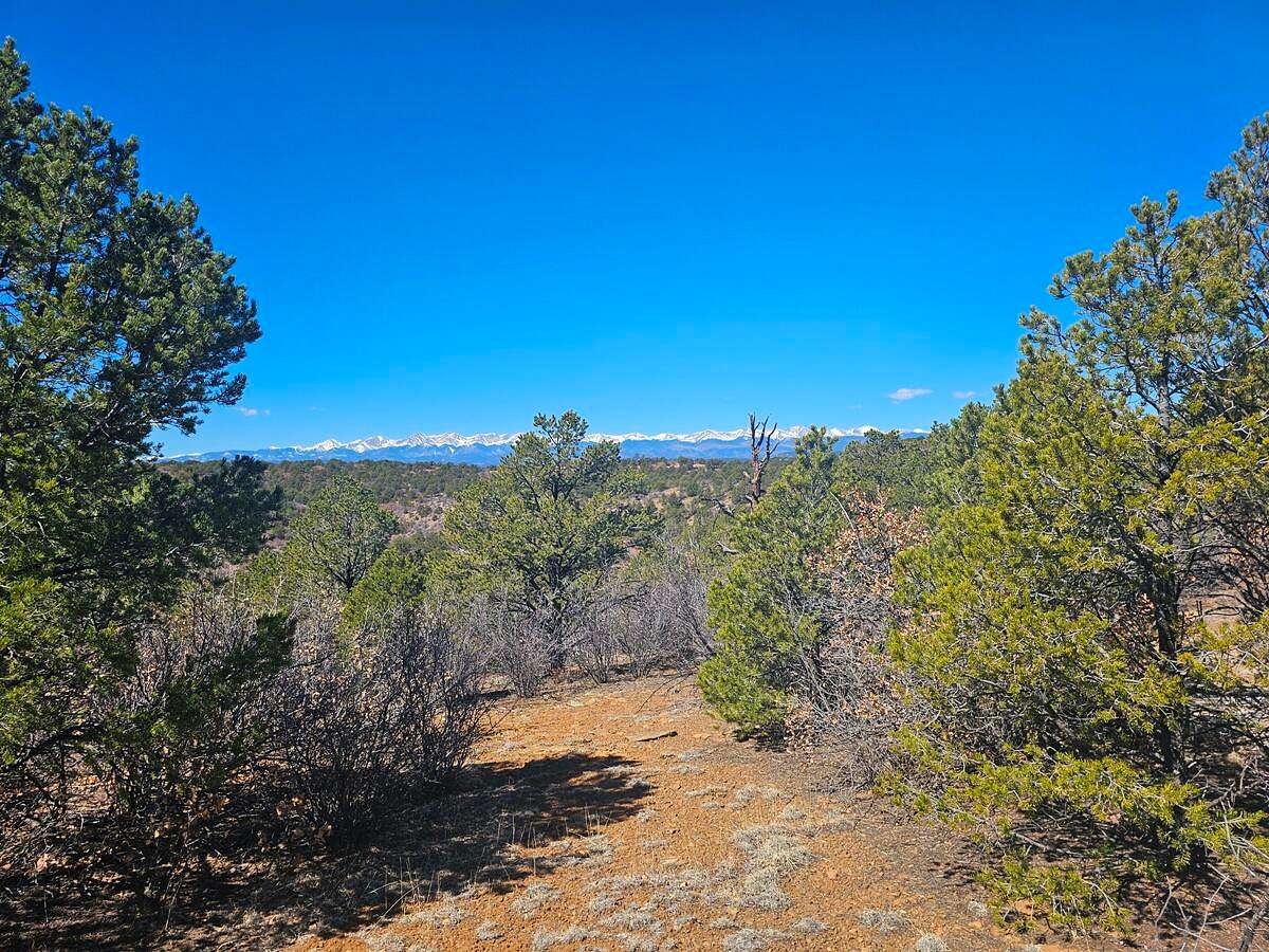 35 Acres of Land for Sale in Weston, Colorado