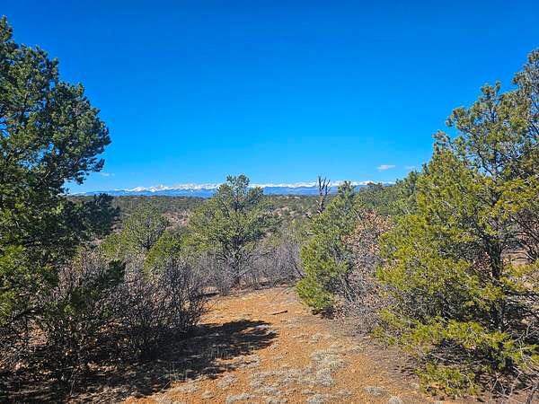 35 Acres of Land for Sale in Weston, Colorado