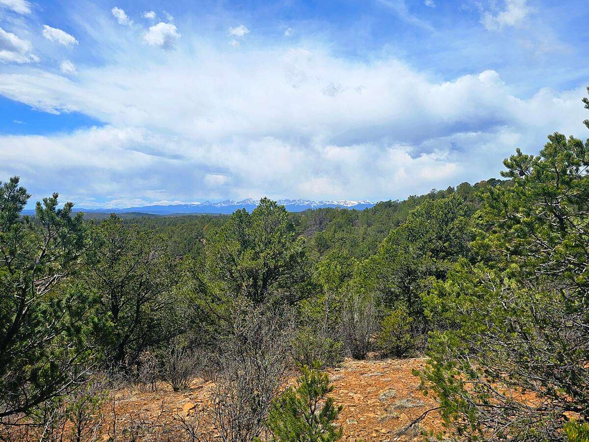 35 Acres of Land for Sale in Weston, Colorado