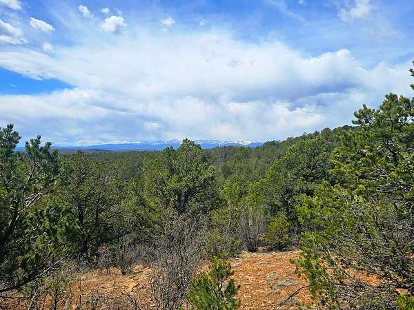 35 Acres of Land for Sale in Weston, Colorado
