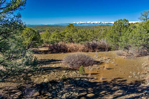 35 Acres of Land for Sale in Weston, Colorado