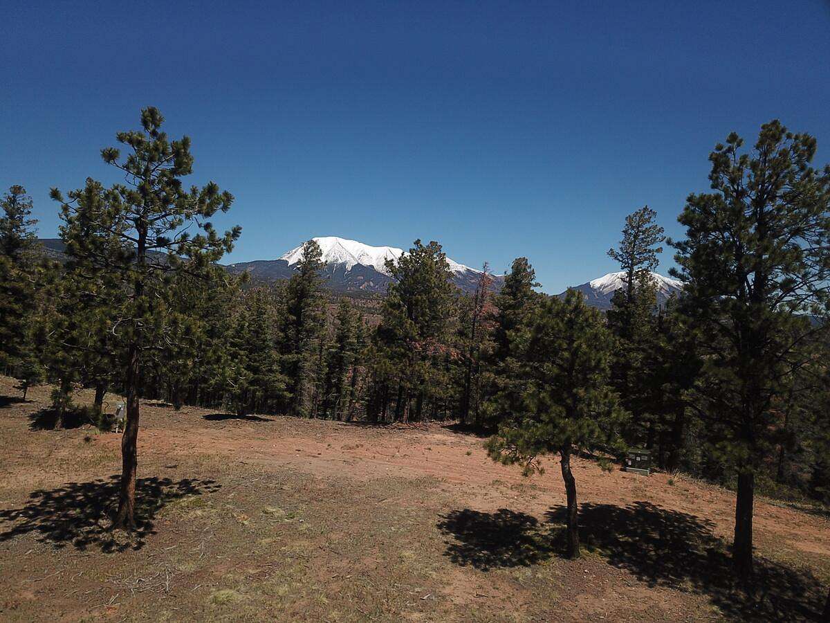 35 Acres of Land for Sale in Weston, Colorado