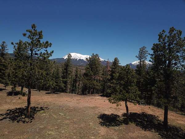 35 Acres of Land for Sale in Weston, Colorado