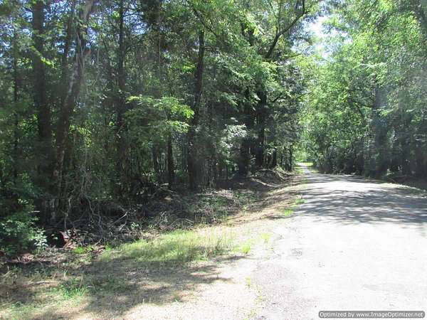 195 Acres of Recreational Land for Sale in Vaughn, Mississippi