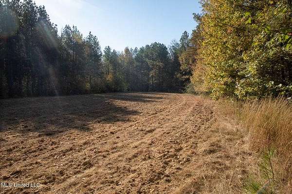 250 Acres of Recreational Land for Sale in Vaughn, Mississippi