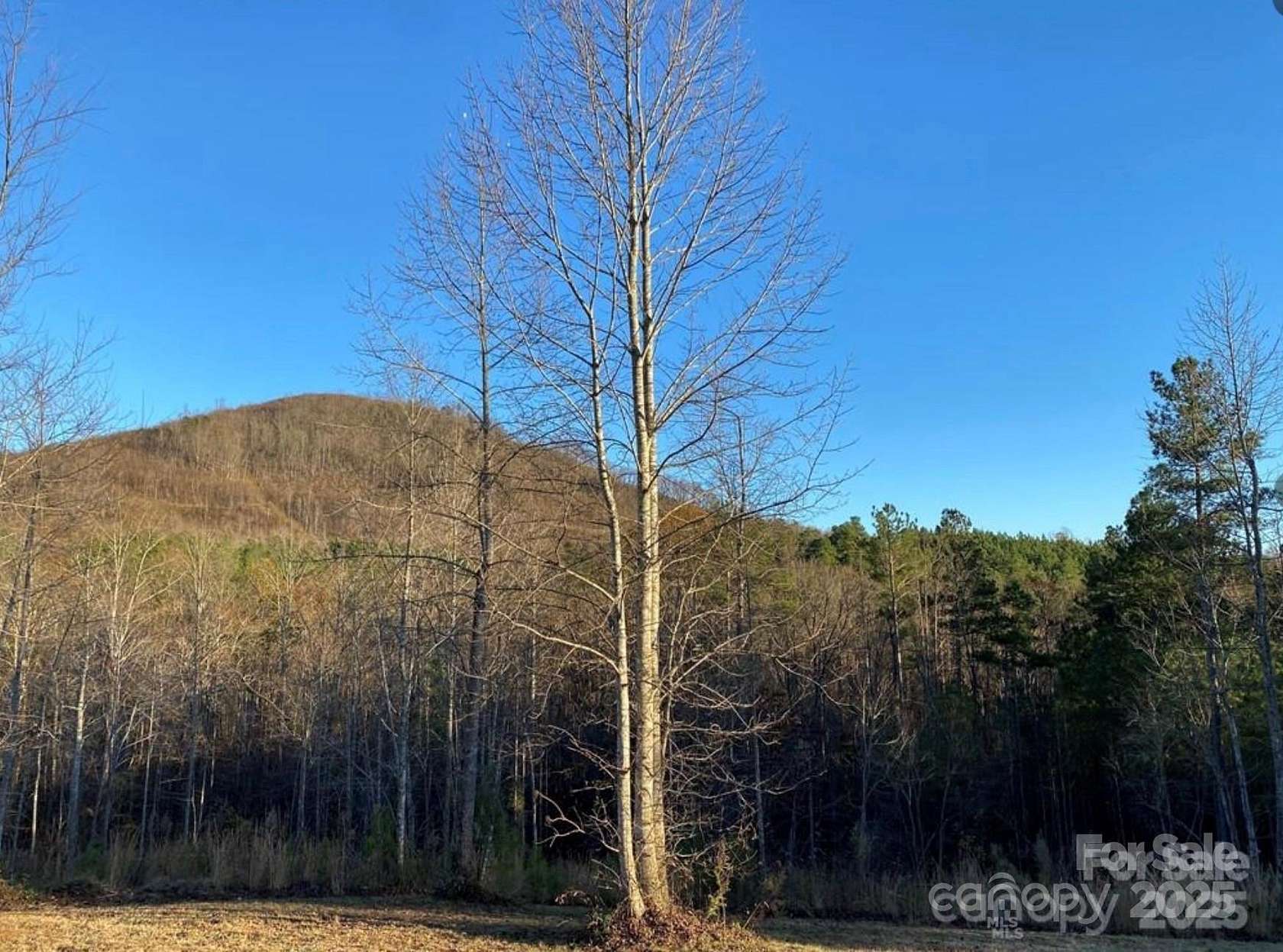 3.7 Acres of Land for Sale in Nebo, North Carolina
