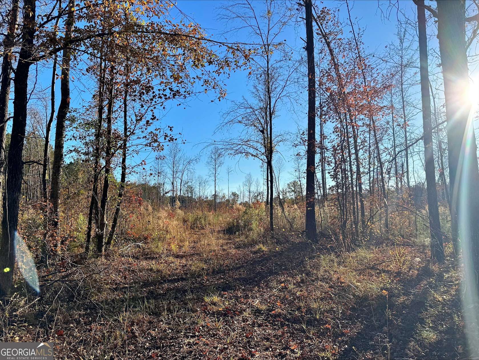 25.4 Acres of Recreational Land for Sale in Lanett, Alabama