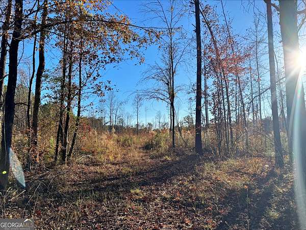 25.4 Acres of Recreational Land for Sale in Lanett, Alabama