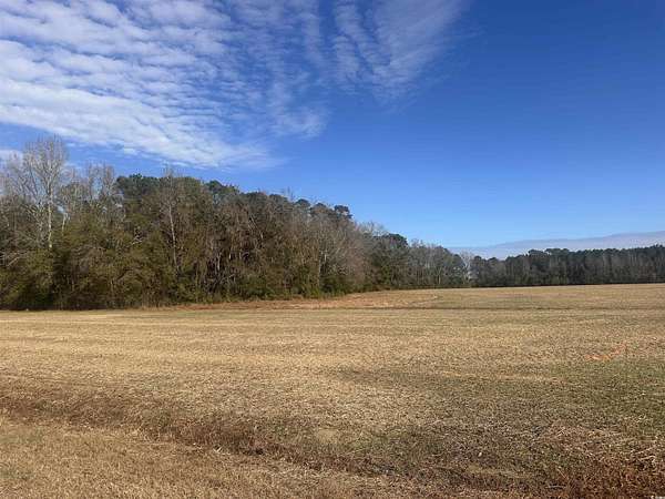 3.3 Acres of Residential Land for Sale in Nichols, South Carolina