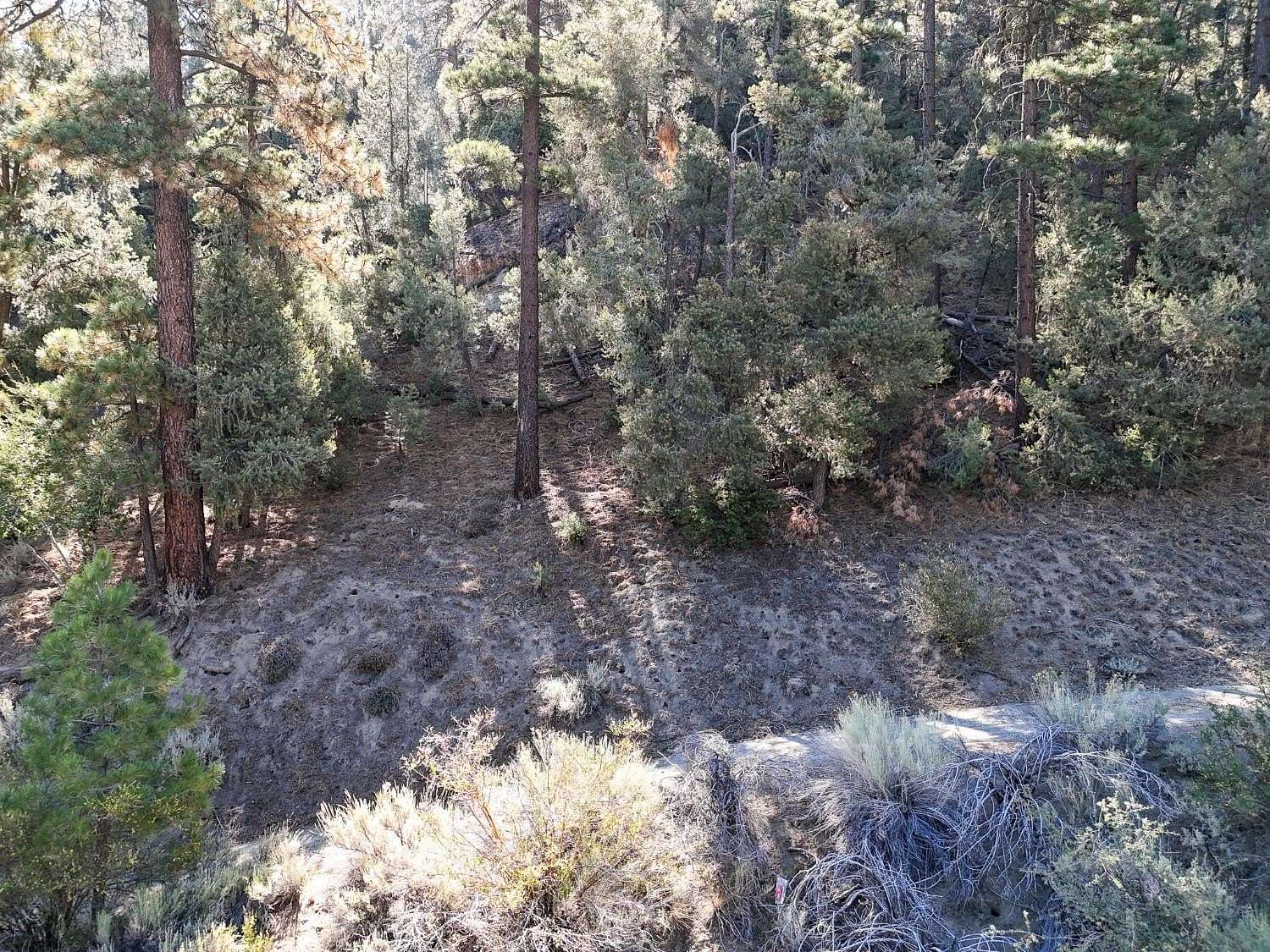 0.49 Acres of Land for Sale in Frazier Park, California