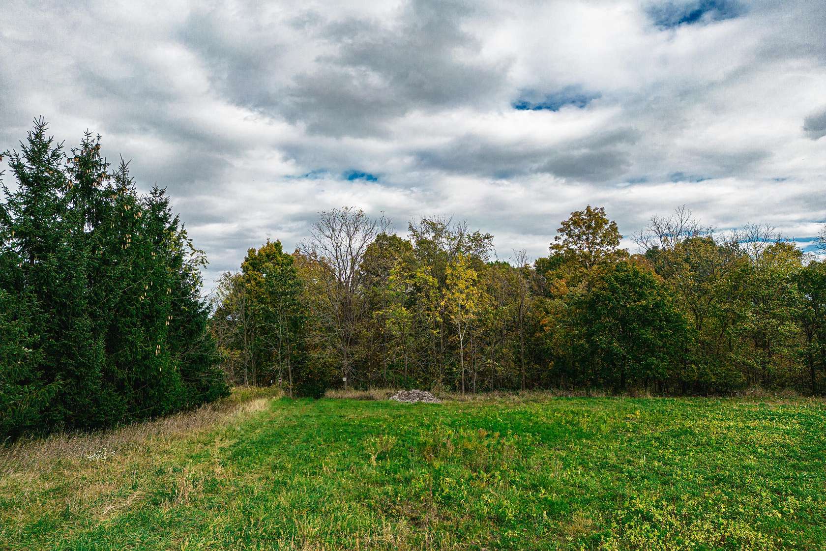 34.3 Acres of Recreational Land for Sale in Saline, Michigan