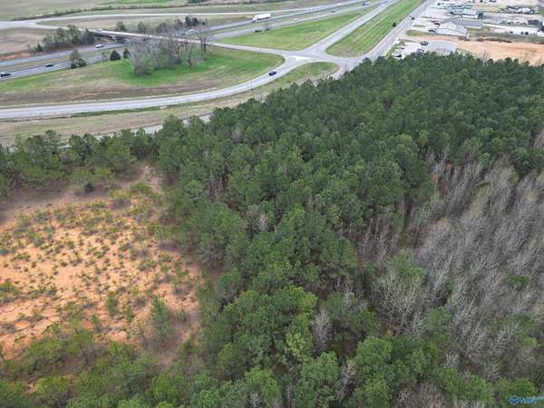 14 Acres of Land for Sale in Elkmont, Alabama