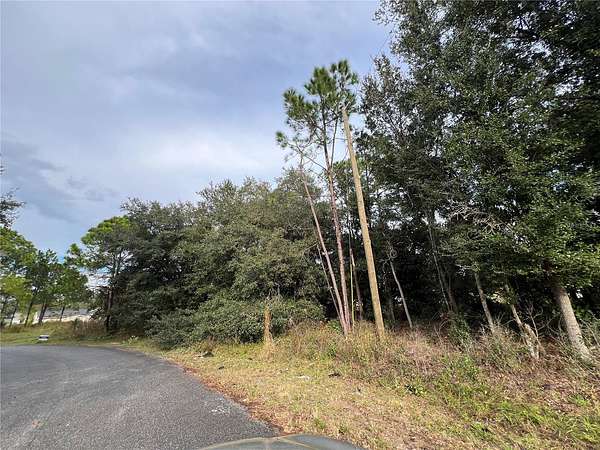 0.19 Acres of Residential Land for Sale in Kissimmee, Florida