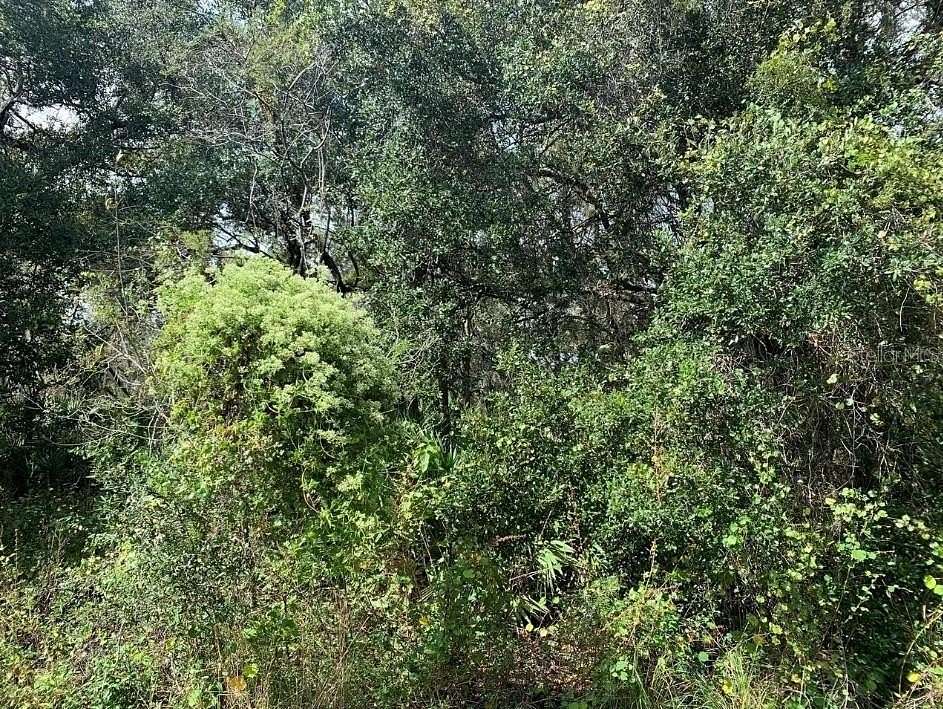 0.23 Acres of Residential Land for Sale in Port Charlotte, Florida