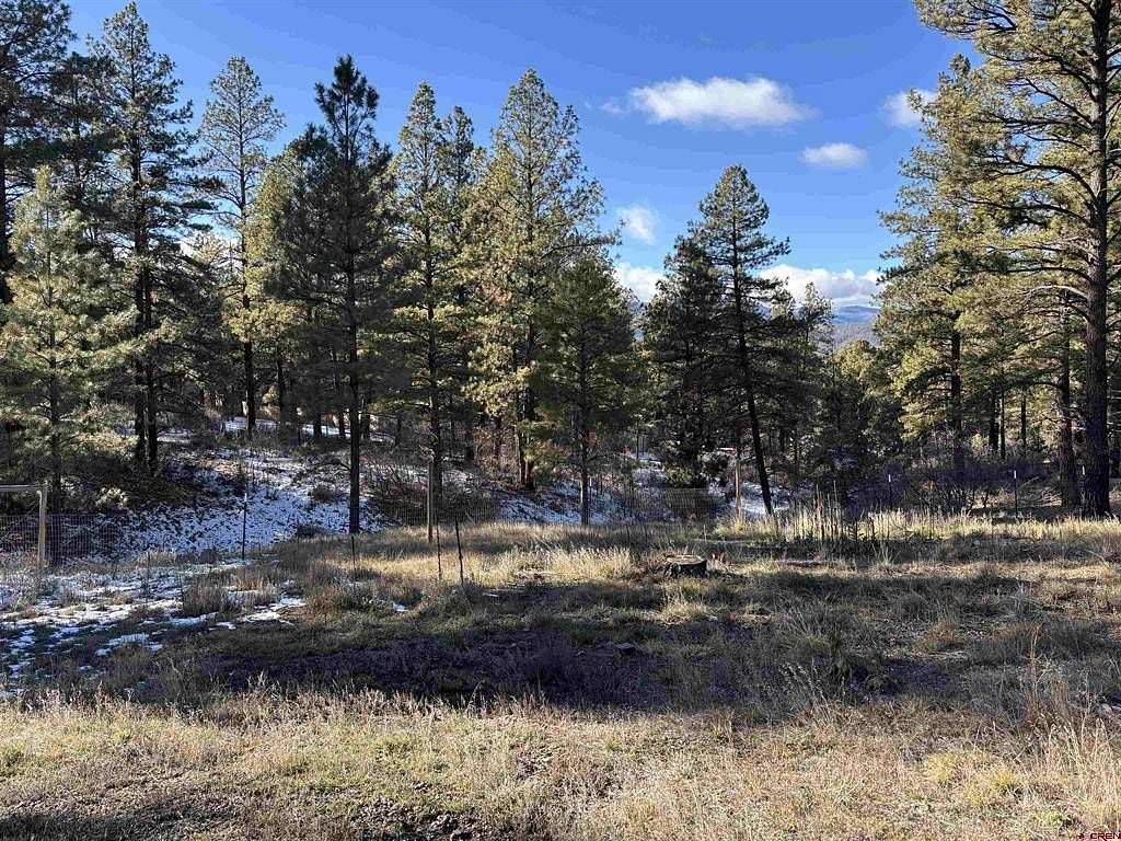 1.1 Acres of Residential Land for Sale in Pagosa Springs, Colorado