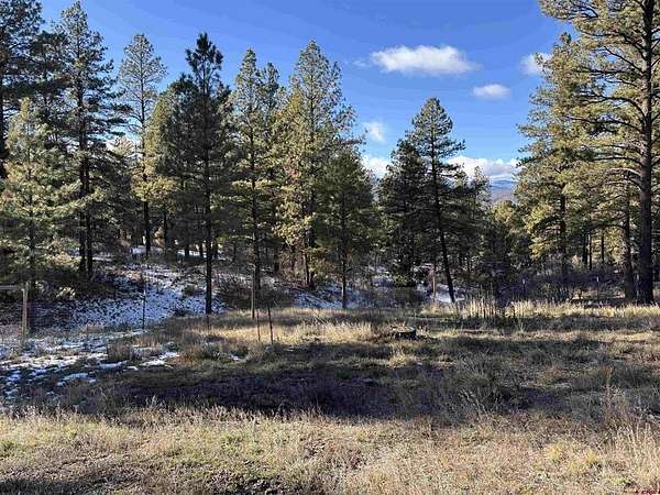 1.1 Acres of Residential Land for Sale in Pagosa Springs, Colorado