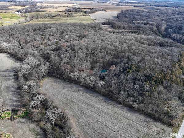 50.4 Acres of Land for Sale in New Boston, Illinois