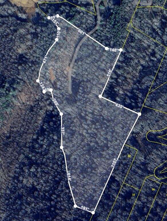 29 Acres of Recreational Land for Sale in Turtletown, Tennessee