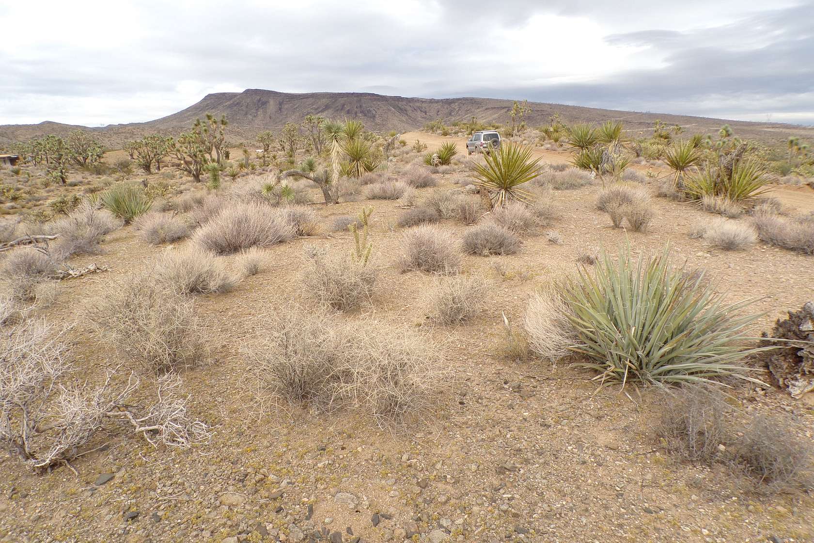 1 Acre of Residential Land for Sale in Dolan Springs, Arizona