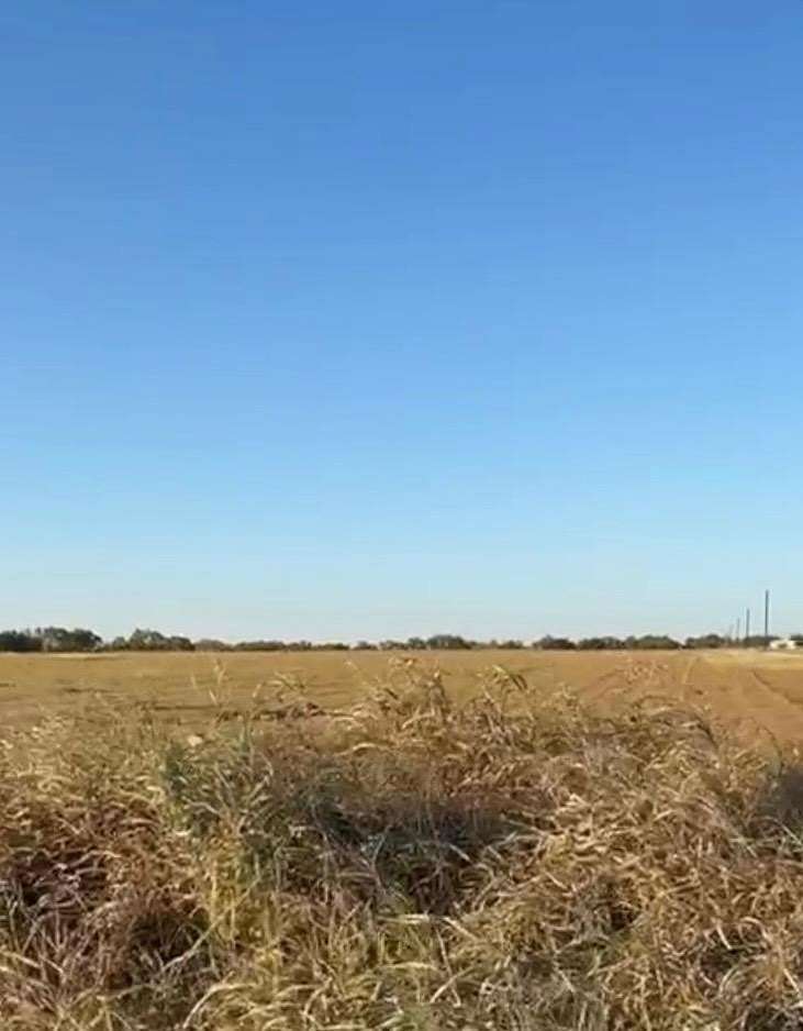 5 Acres of Residential Land for Sale in Ben Arnold, Texas