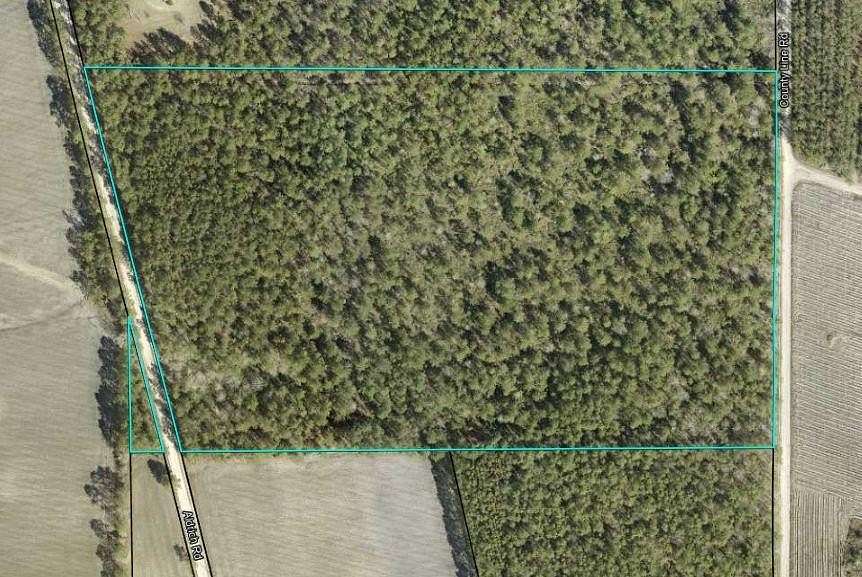 30.2 Acres of Recreational Land for Sale in Baxley, Georgia