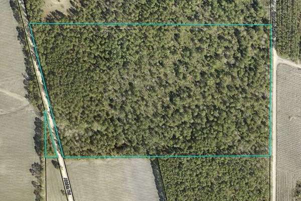 30.2 Acres of Recreational Land for Sale in Baxley, Georgia