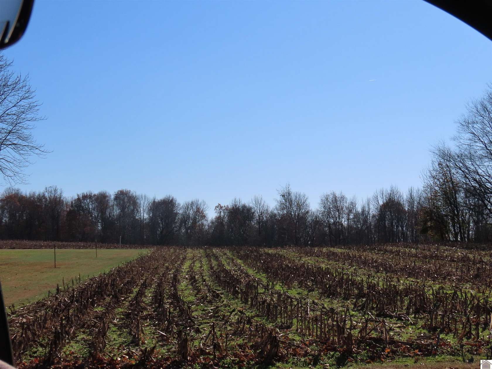 33.3 Acres of Land for Sale in Wingo, Kentucky