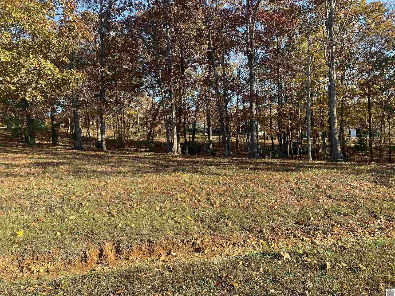 1.79 Acres of Residential Land for Sale in Cadiz, Kentucky
